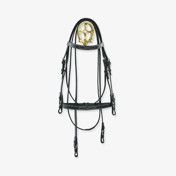 Bridles & Halters