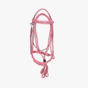 Bridles & Halters