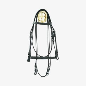 Bridles & Halters