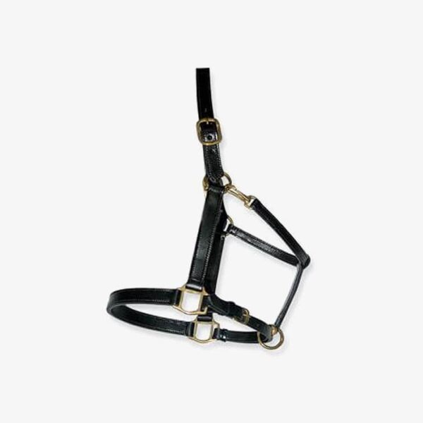 Bridles & Halters