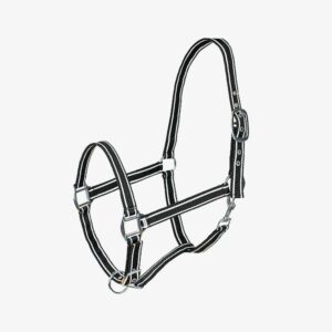 Bridles & Halters