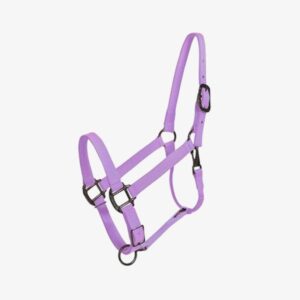 Bridles & Halters