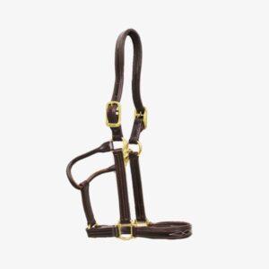 Bridles & Halters